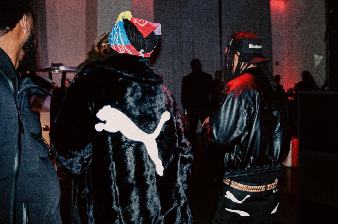 Puma Fur